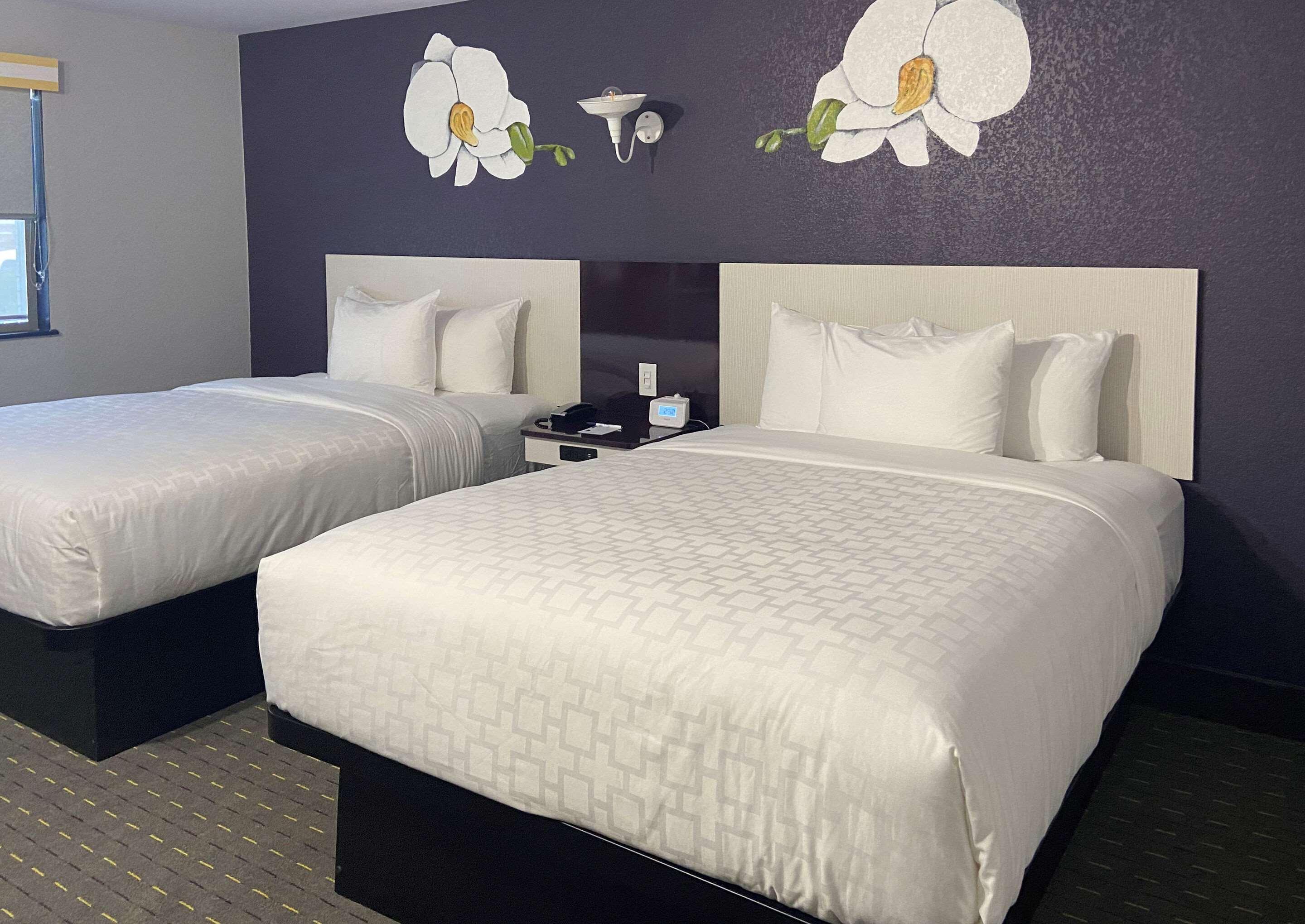 คลาเรียน พอยต์ Hotel แทลลาแฮสซี ภายนอก รูปภาพ